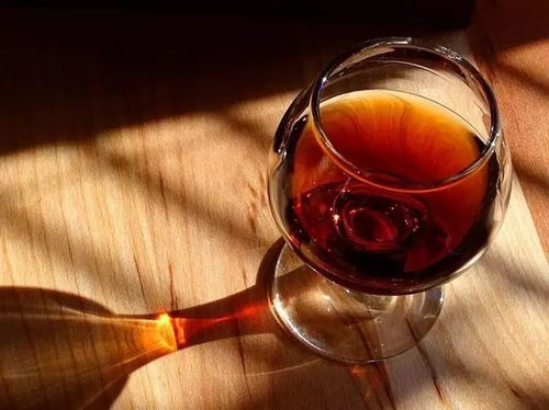 杯中歲月 一酒、一書、一知己，共飲人間滋味